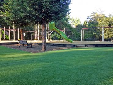 Artificial Grass Photos: Synthetic Pet Grass Desert View Highlands California Lawns